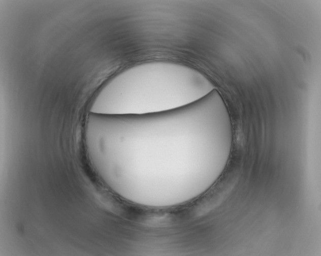 X0000114240206200910091355