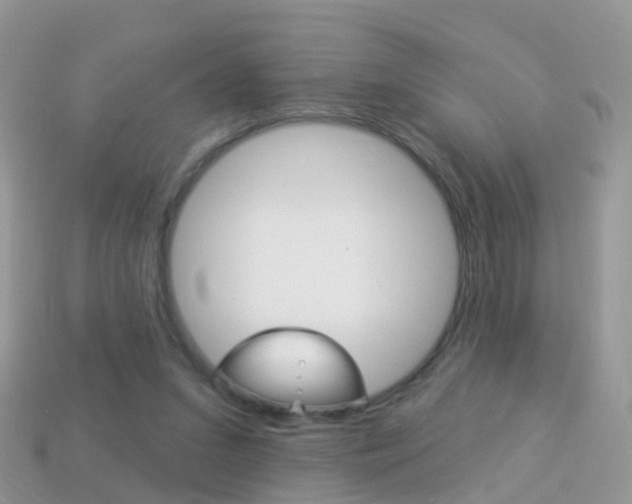 X0000114240207200910091355