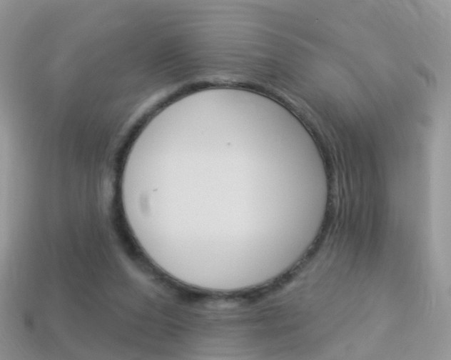 X0000114240208200910091355
