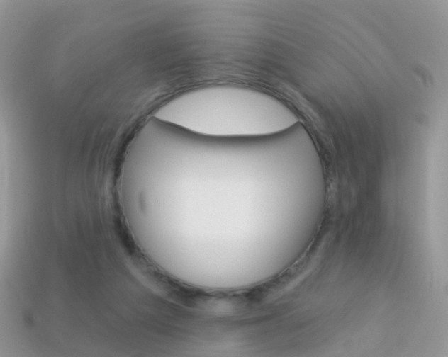 X0000114240209200910091355
