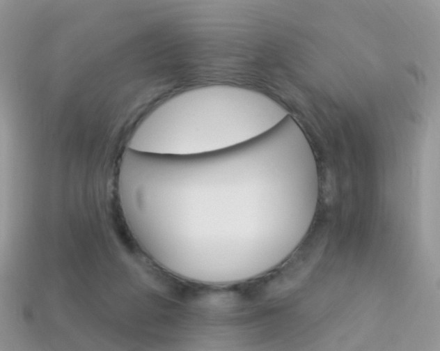 X0000114240210200910091355