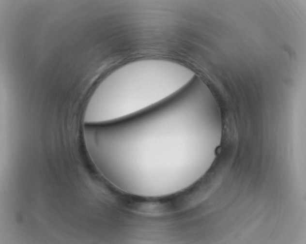 X0000114240212200910091355