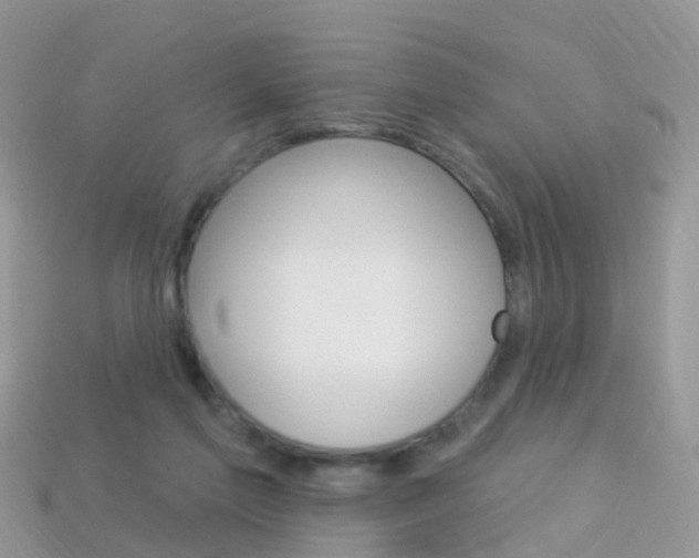 X0000114240213200910091355