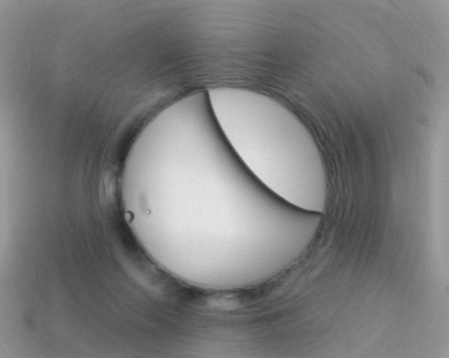X0000114240214200910091355