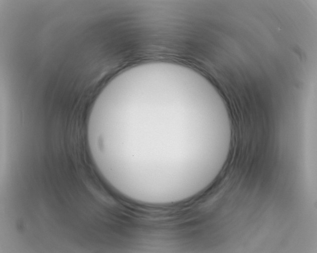 X0000114240215200910091355