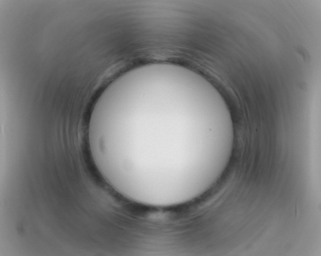 X0000114240216200910091355