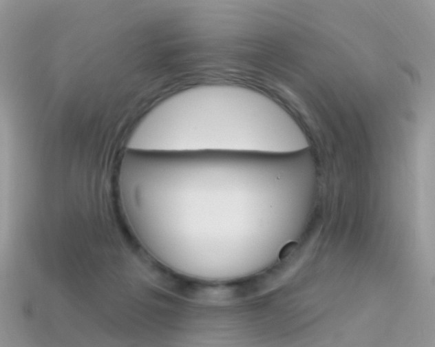 X0000114240217200910091355