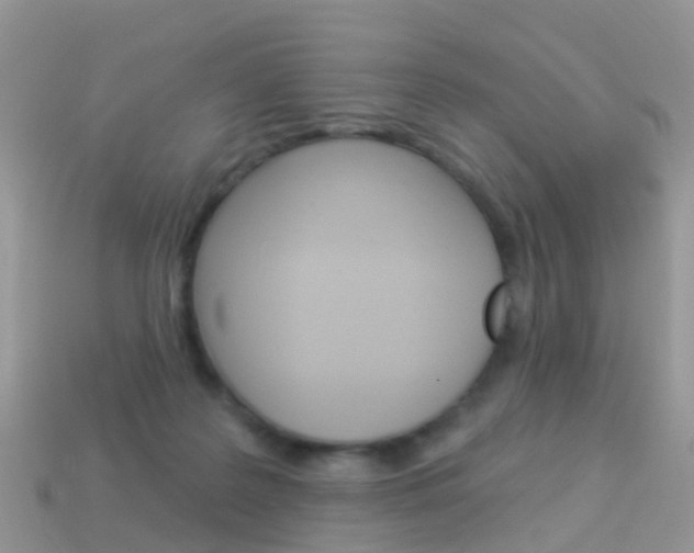 X0000114240219200910091355