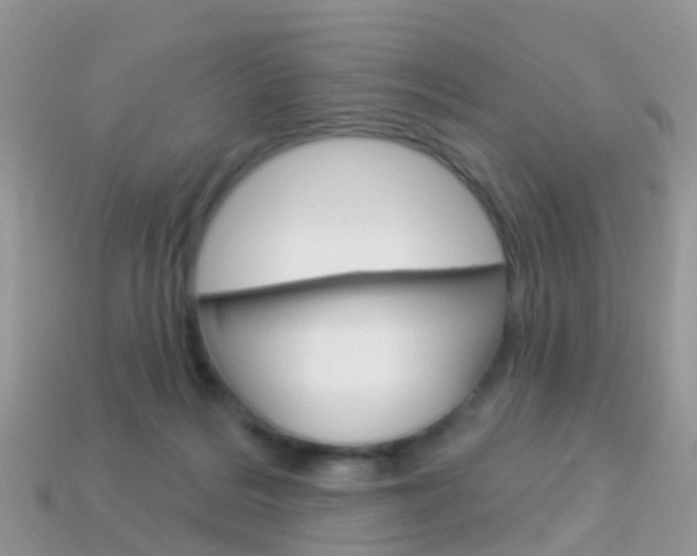 X0000114240220200910091355