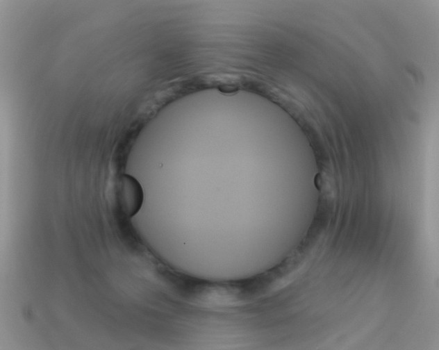 X0000114240223200910091355