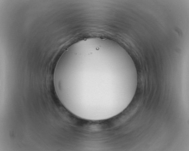 X0000114240228200910091355