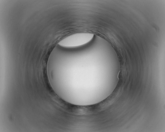 X0000114240229200910091355