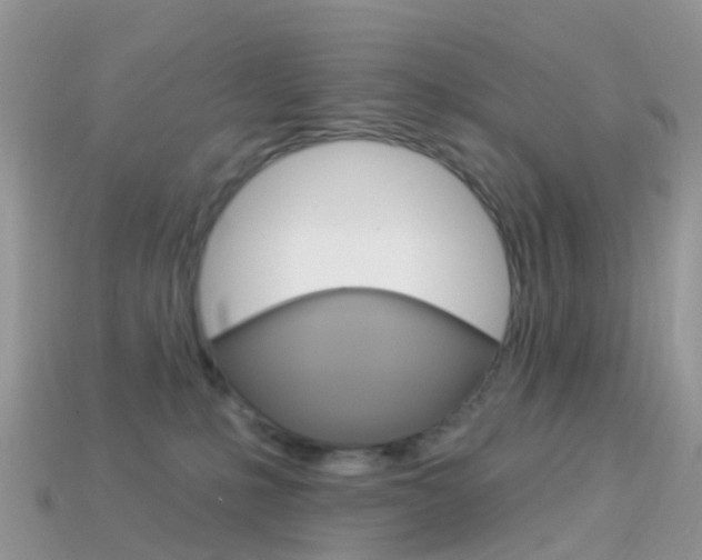 X0000114240231200910091355