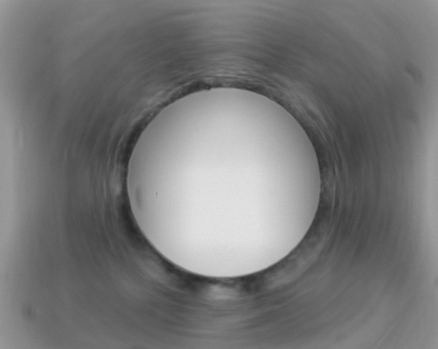 X0000114240232200910091355