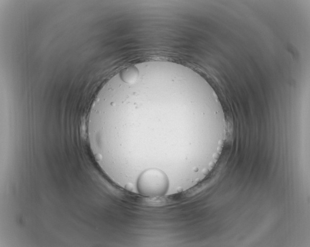 X0000114240238200910091355