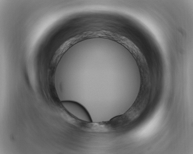 X0000114240239200910091355