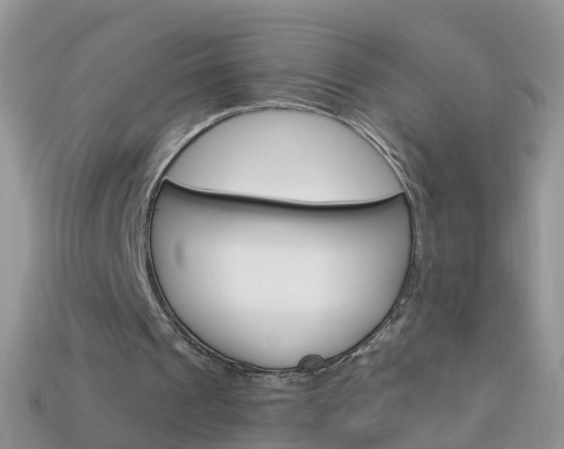 X0000114240241200910091354