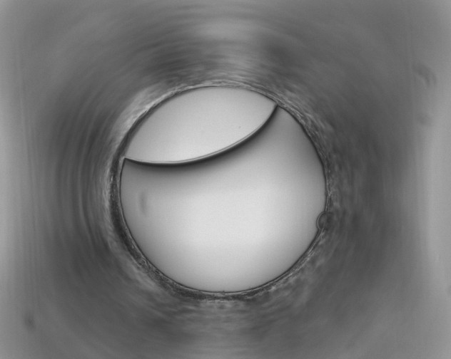 X0000114240242200910091354
