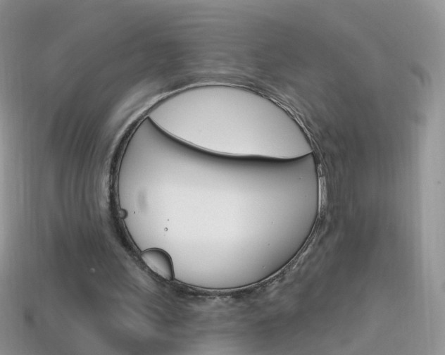 X0000114240243200910091354