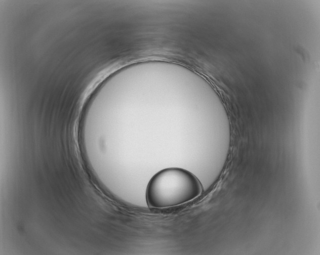X0000114240244200910091354