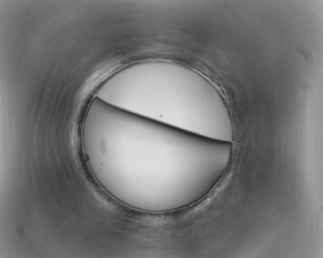 X0000114240245200910091354