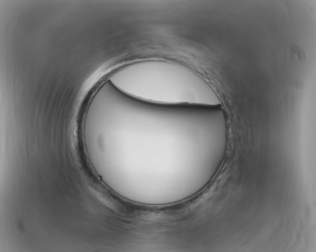X0000114240246200910091354