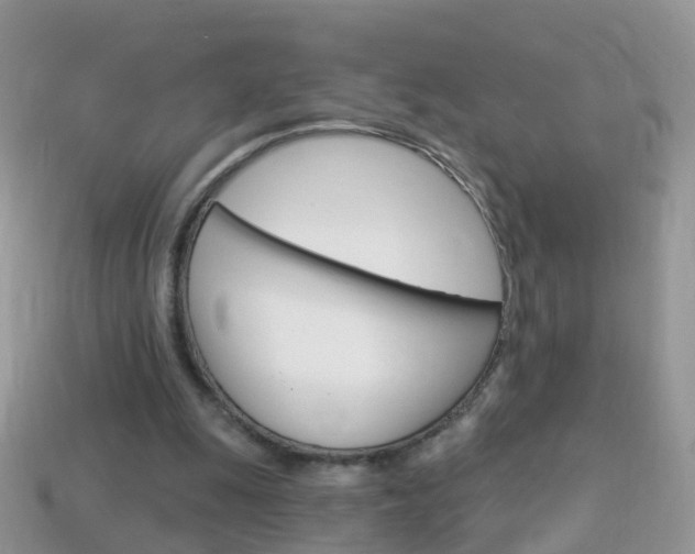 X0000114240247200910091354