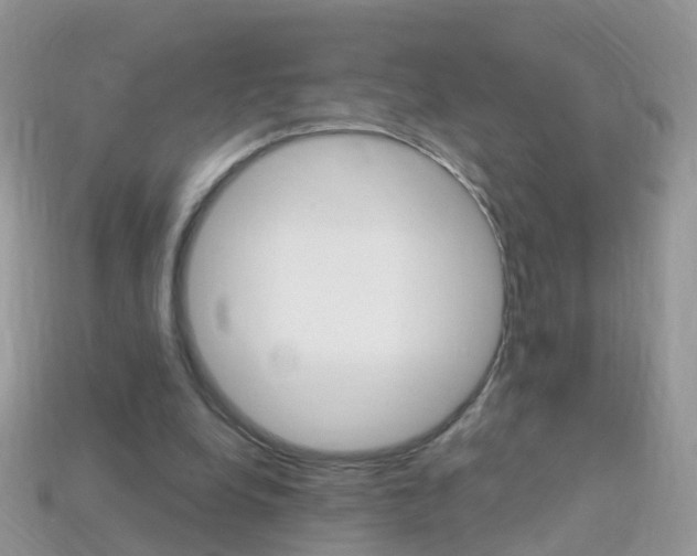 X0000114240248200910091354