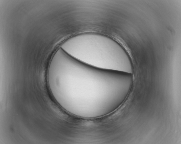 X0000114240249200910091354
