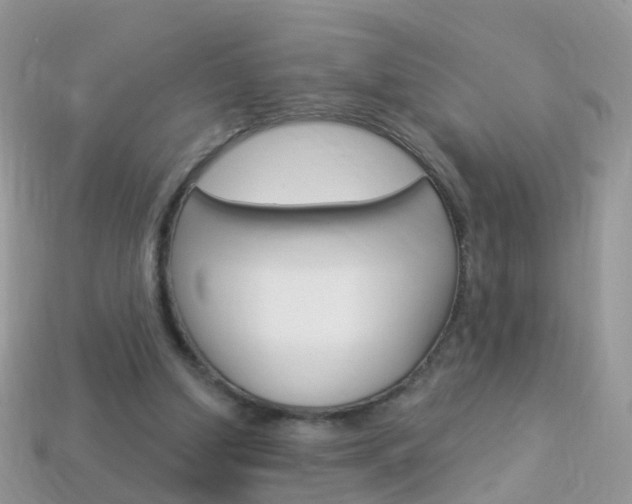 X0000114240250200910091354