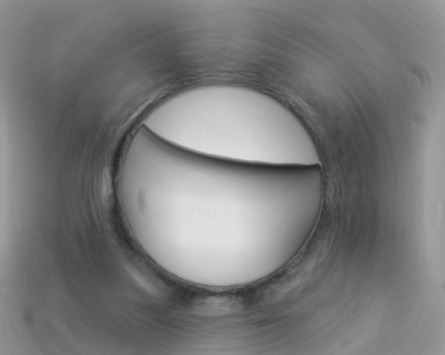 X0000114240251200910091354