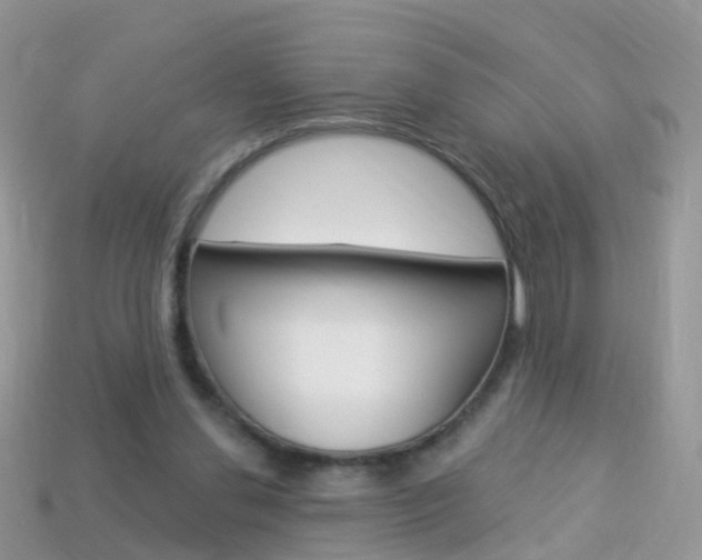 X0000114240252200910091354