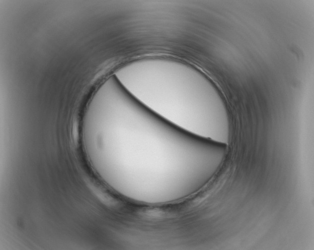 X0000114240253200910091354