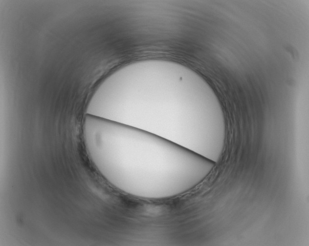 X0000114240255200910091354