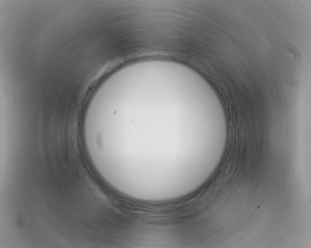 X0000114240256200910091354