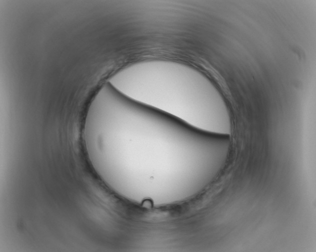 X0000114240257200910091354