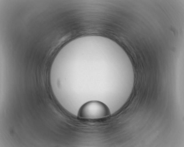 X0000114240260200910091354