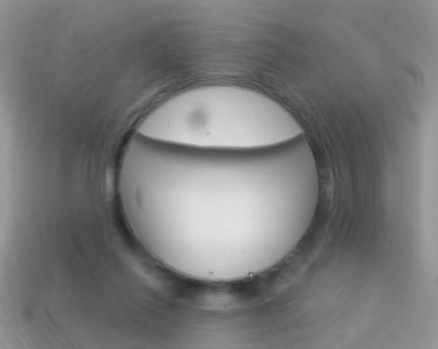 X0000114240262200910091354