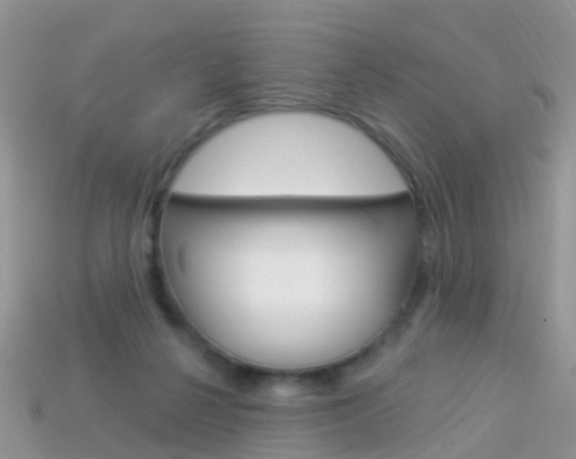 X0000114240264200910091354