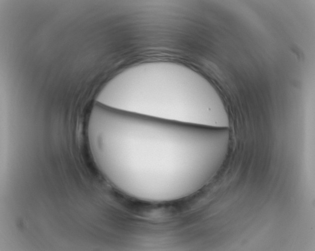 X0000114240267200910091355