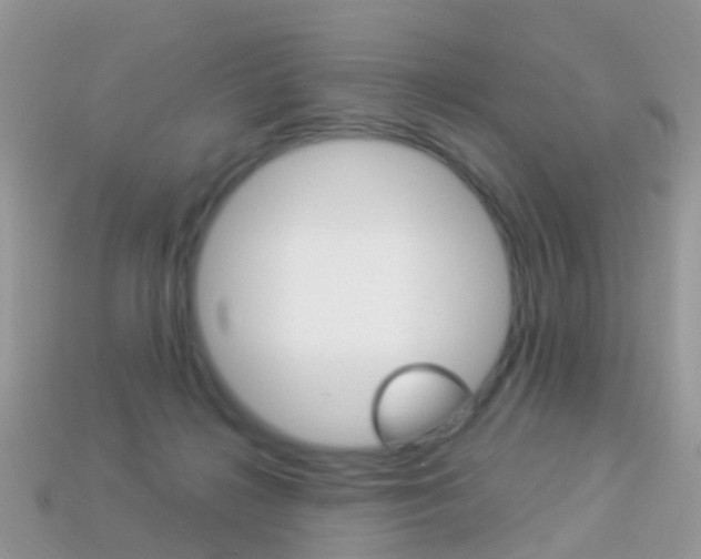 X0000114240268200910091355