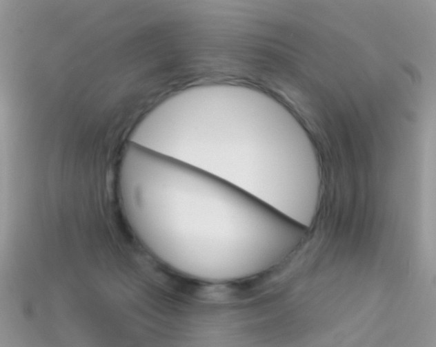X0000114240269200910091355