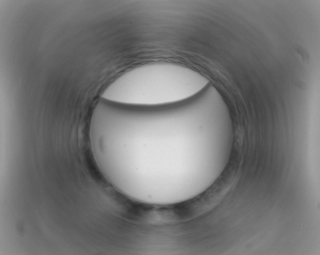 X0000114240270200910091355