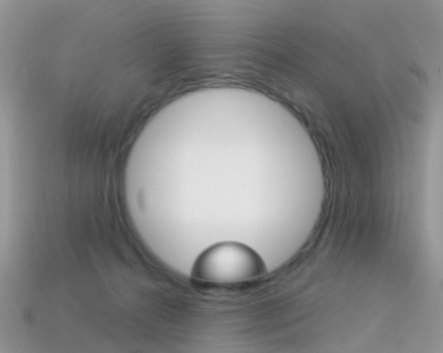 X0000114240272200910091355
