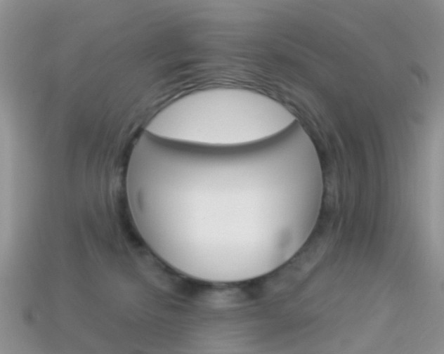 X0000114240278200910091355