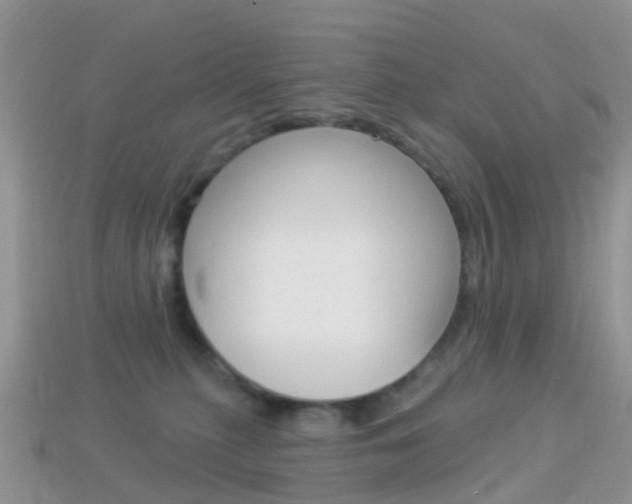 X0000114240279200910091355