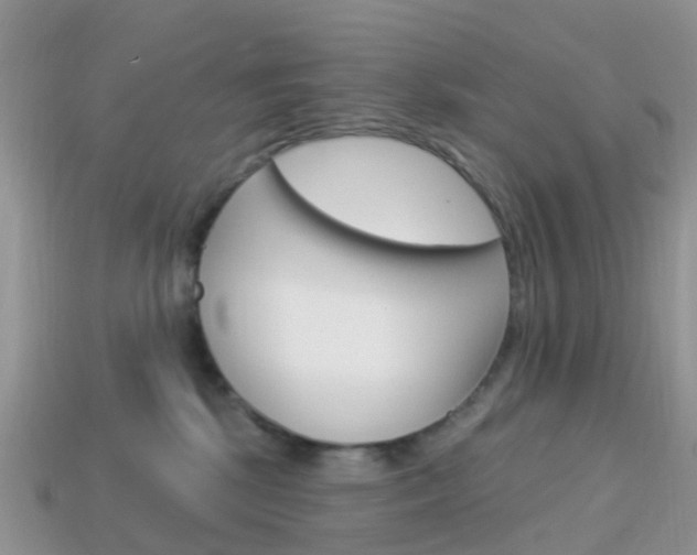 X0000114240281200910091355