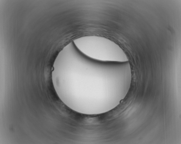 X0000114240283200910091355