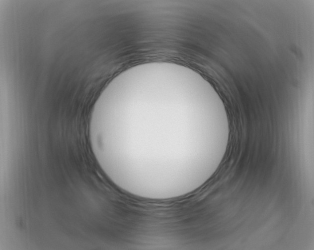 X0000114240284200910091355