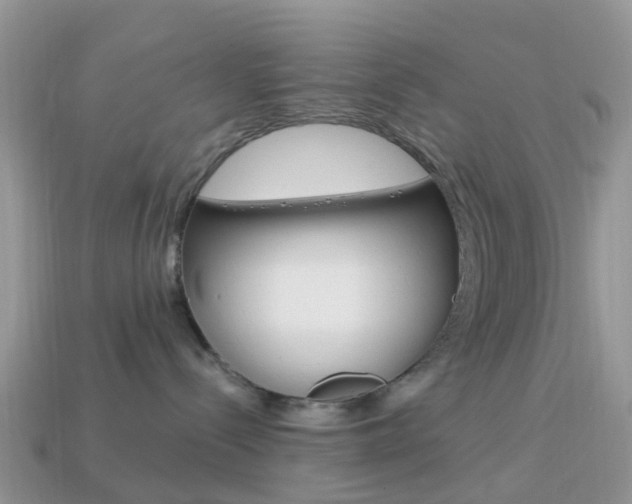 X0000114240288200910091355
